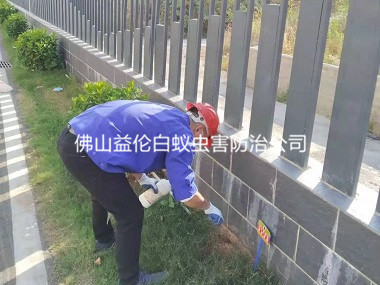 高明小區環境消殺紅火蟻