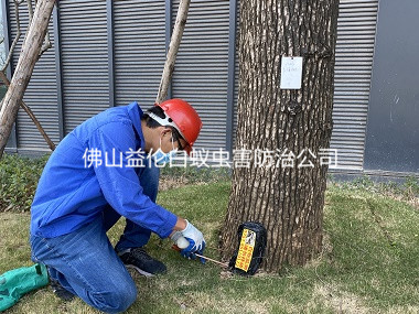 南海廠區樹木白蟻防治工程