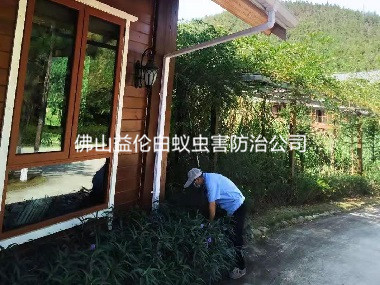 三水農莊滅治老鼠蟲害