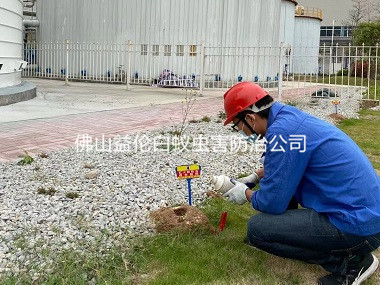 西樵工業廠區紅火蟻防治