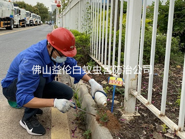 禪城企業防治紅火蟻