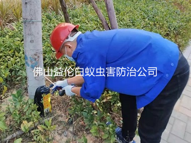 南海丹灶翰林湖生態公園滅白蟻