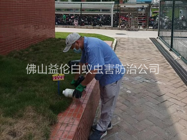 南海校區滅紅火蟻