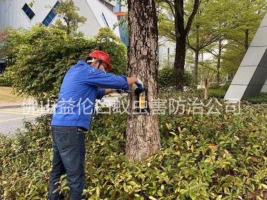 禪城企業白蟻消殺工程