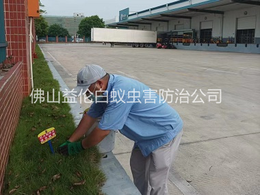 南海企業殺除紅火蟻