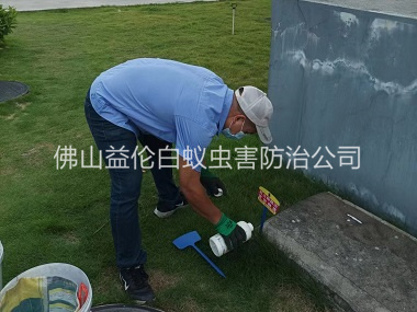 禪城區紅火蟻消殺工程